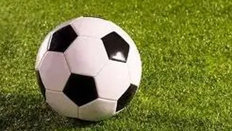 “王添艺：国乒颜值担当，赛场美貌与实力并存，人气爆表走红全网”