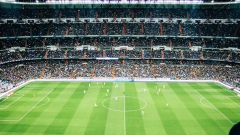 卡塞尔谈新秀赛季：表现亮眼，未来潜力无限